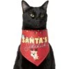 Frisco Santa's Sidekick Dog & Cat Bandana 2 Frisco Santa's Sidekick Dog & Cat Bandana -Frisco Sales Store 276204 MAIN. AC SS1800 V1637656607