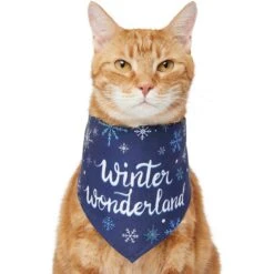 Frisco Winter Wonderland Dog & Cat Bandana -Frisco Sales Store 276279 PT2. AC SS1800 V1637675218