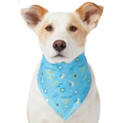Frisco Festive Hanukkah Dog & Cat Bandana -Frisco Sales Store 276282 PT3. AC SS1800 V1637673704