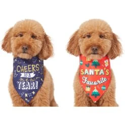 Frisco Santa's Favorite & Cheers To The New Year Dog & Cat Reversible Bandana -Frisco Sales Store 276285 PT2. AC SS1800 V1637719891