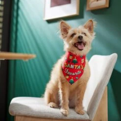 Frisco Santa's Favorite & Cheers To The New Year Dog & Cat Reversible Bandana -Frisco Sales Store 276285 PT6. AC SS1800 V1637668015