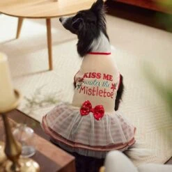 Frisco Kiss Me Under The Mistletoe Dog & Cat Dress -Frisco Sales Store 276335 PT5. AC SS1800 V1637729492