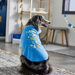 Frisco Happy Hanukkah Dog & Cat T-shirt 13 Frisco Happy Hanukkah Dog & Cat T-shirt -Frisco Sales Store 276480 PT5. AC SS1800 V1637646712