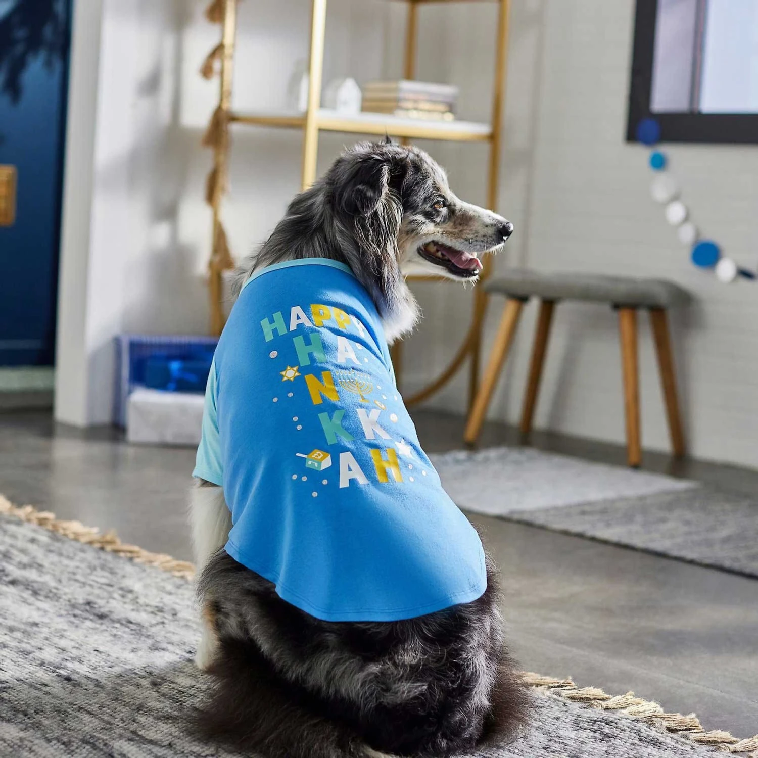 Frisco Happy Hanukkah Dog & Cat T-shirt 8 Frisco Happy Hanukkah Dog & Cat T-shirt - Image 6