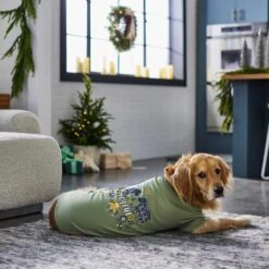 Frisco Joyful Hygge-Inspired Dog & Cat T-shirt 13 Frisco Joyful Hygge-Inspired Dog & Cat T-shirt -Frisco Sales Store 276488 PT5. AC SS1800 V1637666798