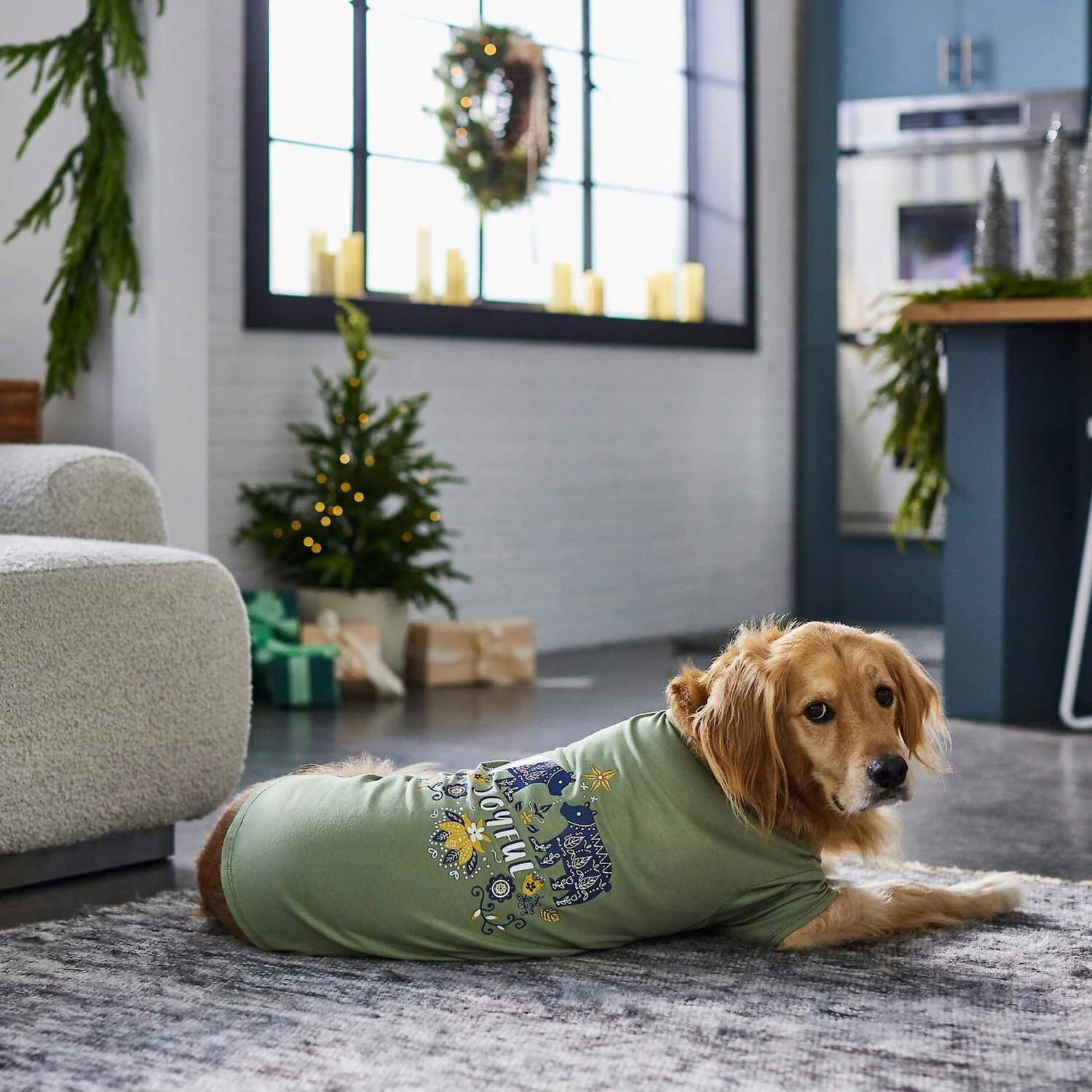 Frisco Joyful Hygge-Inspired Dog & Cat T-shirt 8 Frisco Joyful Hygge-Inspired Dog & Cat T-shirt - Image 6