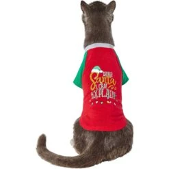Frisco Santa I Can Explain Dog & Cat T-shirt 9 Frisco Santa I Can Explain Dog & Cat T-shirt -Frisco Sales Store 276496 PT2. AC SS1800 V1637682452