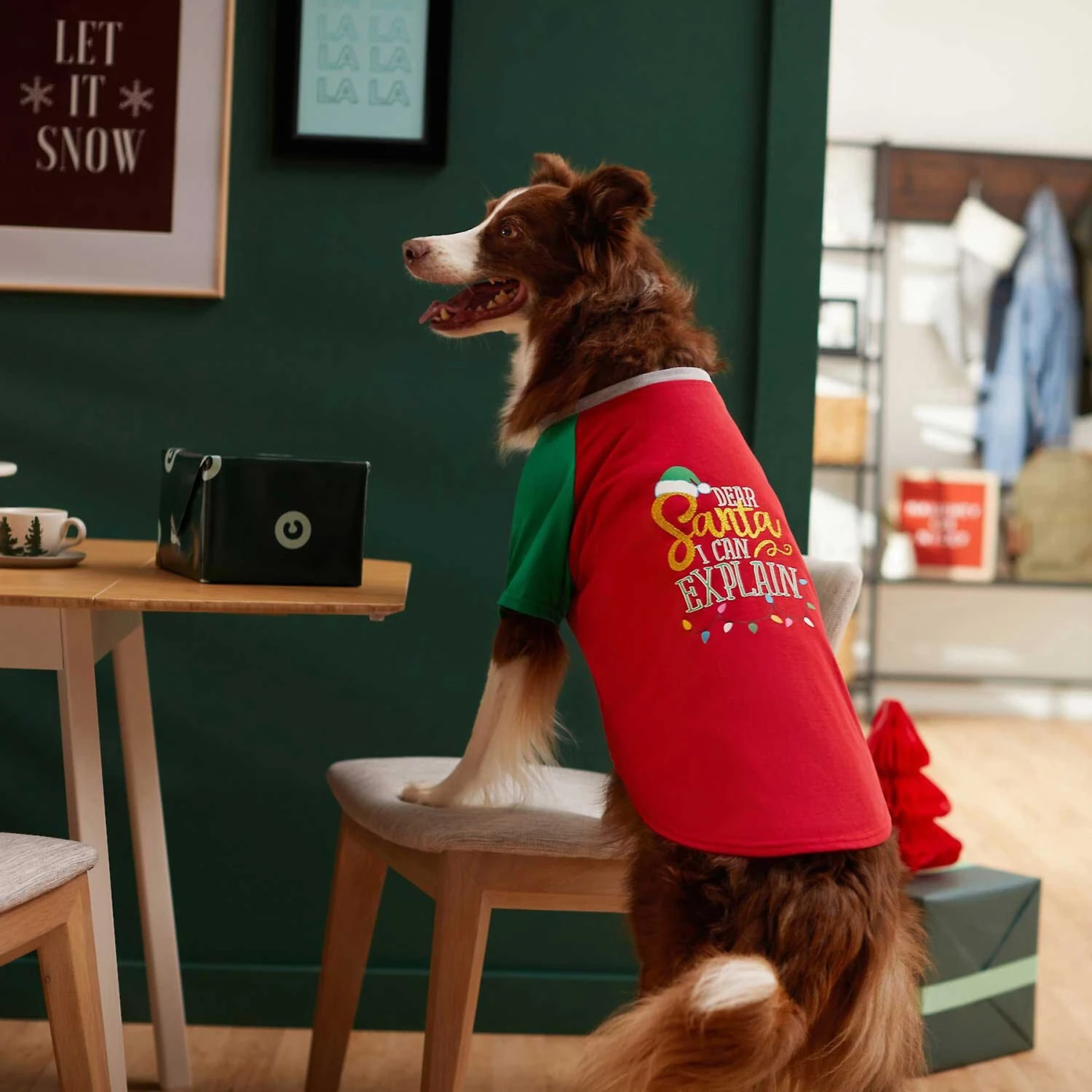 Frisco Santa I Can Explain Dog & Cat T-shirt 7 Frisco Santa I Can Explain Dog & Cat T-shirt - Image 6