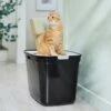 Frisco Top Entry Cat Litter Box, Extra Large 1 Frisco Top Entry Cat Litter Box, Extra Large -Frisco Sales Store 278183 MAIN. AC SS1800 V1675279642