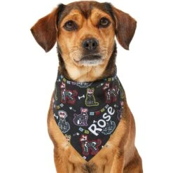 Frisco Dia De Los Muertos Personalized Dog & Cat Bandana 17 Frisco Dia De Los Muertos Personalized Dog & Cat Bandana -Frisco Sales Store 287052 PT6. AC SS1800 V1623246755