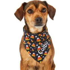 Frisco Candy Corn Personalized Dog & Cat Bandana 17 Frisco Candy Corn Personalized Dog & Cat Bandana -Frisco Sales Store 287056 PT6. AC SS1800 V1623246504