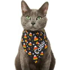 Frisco Candy Corn Personalized Dog & Cat Bandana 18 Frisco Candy Corn Personalized Dog & Cat Bandana -Frisco Sales Store 287056 PT7. AC SS1800 V1623246828