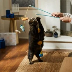 Frisco Holiday Hanukkah Teaser Cat Toy With Catnip, 2 Count -Frisco Sales Store 287277 PT3. AC SS1800 V1632771712