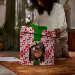 Frisco Holiday Gift Box Cardboard Cat House -Frisco Sales Store 287291 PT3. AC SS1800 V1695043502