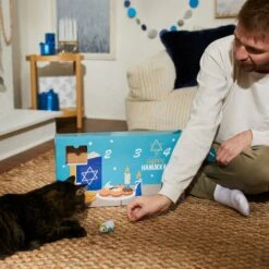 Frisco Holiday 8 Days Of Hanukkah Cardboard Calendar With Toys For Cats -Frisco Sales Store 287301 PT4. AC SS1800 V1689793188