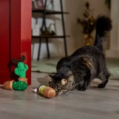 Frisco Holiday Cactus Plush Cat Toy With Catnip, 3 Count 8 Frisco Holiday Cactus Plush Cat Toy With Catnip, 3 Count -Frisco Sales Store 287329 PT3. AC SS1800 V1661874421