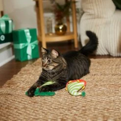 Frisco Holiday Elf Legs & Hat Plush Cat Toy With Catnip, 2 Count -Frisco Sales Store 287365 PT3. AC SS1800 V1632776685