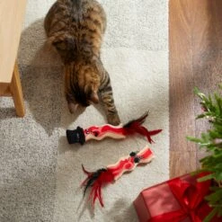 Frisco Holiday Bacon Plush Cat Toy With Catnip, 2 Count 7 Frisco Holiday Bacon Plush Cat Toy With Catnip, 2 Count -Frisco Sales Store 287377 PT3. AC SS1800 V1632773555