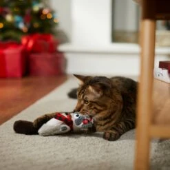 Frisco Holiday Raccoon Kicker Plush Cat Toy With Catnip 8 Frisco Holiday Raccoon Kicker Plush Cat Toy With Catnip -Frisco Sales Store 287379 PT3. AC SS1800 V1632776287