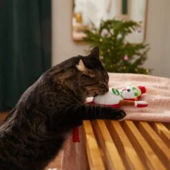 Frisco Naughty Or Nice Snowman Reversible Plush Cat Toy With Catnip -Frisco Sales Store 287387 PT3. AC SS1800 V1632774541