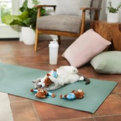 Frisco New Year, New Me Namaste Bear Plush Cat Toy With Catnip -Frisco Sales Store 288947 PT3. AC SS1800 V1638289414