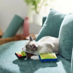 Frisco Protein Bar & Gym Membership Plush Cat Toy With Catnip -Frisco Sales Store 288951 PT3. AC SS1800 V1638290814