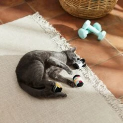 Frisco Pre-Workout & Protein Plush Cat Toy With Catnip, 3 Count -Frisco Sales Store 288953 PT3. AC SS1800 V1638287817