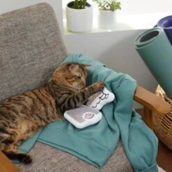 Frisco Scale & Message Bubble Plush Cat Toy With Catnip, 2 Count 7 Frisco Scale & Message Bubble Plush Cat Toy With Catnip, 2 Count -Frisco Sales Store 288959 PT3. AC SS1800 V1638288401