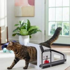 Frisco Treadmill Cardboard Cat House -Frisco Sales Store 288967 PT3. AC SS1800 V1638288289