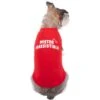 Frisco Mister Irresistible Dog & Cat T-Shirt -Frisco Sales Store 292026 MAIN. AC SS1800 V1637269120