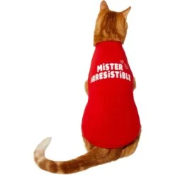 Frisco Mister Irresistible Dog & Cat T-Shirt 11 Frisco Mister Irresistible Dog & Cat T-Shirt -Frisco Sales Store 292026 PT2. AC SS1800 V1637268745