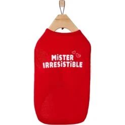 Frisco Mister Irresistible Dog & Cat T-Shirt 12 Frisco Mister Irresistible Dog & Cat T-Shirt -Frisco Sales Store 292026 PT4. AC SS1800 V1637267791
