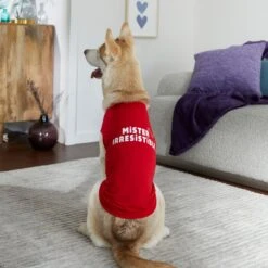 Frisco Mister Irresistible Dog & Cat T-Shirt 14 Frisco Mister Irresistible Dog & Cat T-Shirt -Frisco Sales Store 292026 PT6. AC SS1800 V1701797008