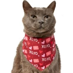 Frisco Love Letters Dog & Cat Bandana -Frisco Sales Store 292051 PT2. AC SS1800 V1637269050