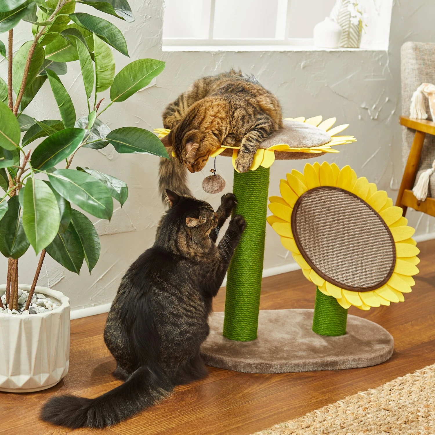 Frisco Sunflower Cat Scratching Post, Two Post With Lounger 3 Frisco Sunflower Cat Scratching Post, Two Post With Lounger