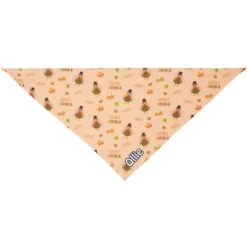 Frisco Quirky Thanksgiving Personalized Dog & Cat Bandana -Frisco Sales Store 296986 PT3. AC SS1800 V1627654956