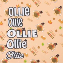 Frisco Quirky Thanksgiving Personalized Dog & Cat Bandana -Frisco Sales Store 296986 PT4. AC SS1800 V1627655269