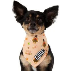 Frisco Quirky Thanksgiving Personalized Dog & Cat Bandana -Frisco Sales Store 296986 PT6. AC SS1800 V1627654020