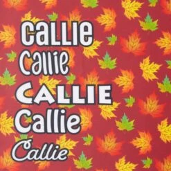 Frisco Fall Leaves Personalized Dog & Cat Bandana -Frisco Sales Store 296994 PT4. AC SS1800 V1627654575
