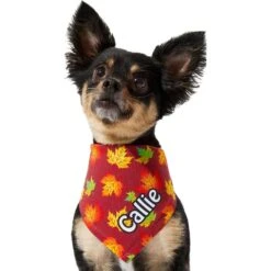Frisco Fall Leaves Personalized Dog & Cat Bandana -Frisco Sales Store 296994 PT6. AC SS1800 V1627654351