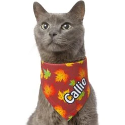 Frisco Fall Leaves Personalized Dog & Cat Bandana -Frisco Sales Store 296994 PT7. AC SS1800 V1627655275