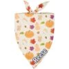 Frisco Pumpkin Spice Personalized Dog & Cat Bandana -Frisco Sales Store 296998 MAIN. AC SS1800 V1627653400
