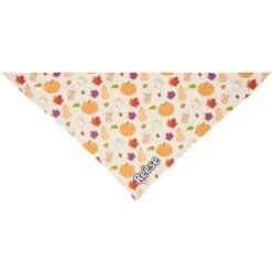Frisco Pumpkin Spice Personalized Dog & Cat Bandana -Frisco Sales Store 296998 PT3. AC SS1800 V1627654117