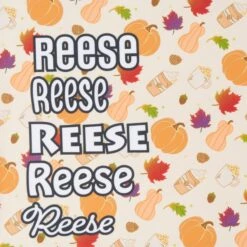 Frisco Pumpkin Spice Personalized Dog & Cat Bandana -Frisco Sales Store 296998 PT4. AC SS1800 V1627655195