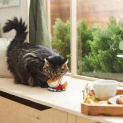 Frisco Brunch Teacup Plush Cat Toy With Catnip 7 Frisco Brunch Teacup Plush Cat Toy With Catnip -Frisco Sales Store 297292 PT2. AC SS1800 V1642088843