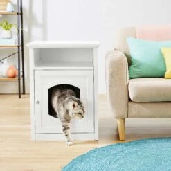 Frisco Decorative Side Table Cat Litter Box Cover & Frisco Open Top Cat Litter Box With Rim, Large 13 Frisco Decorative Side Table Cat Litter Box Cover & Frisco Open Top Cat Litter Box With Rim, Large -Frisco Sales Store 297992 PT4. AC SS1800 V1621306337