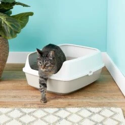 Frisco Decorative Side Table Cat Litter Box Cover & Frisco Open Top Cat Litter Box With Rim, Large 15 Frisco Decorative Side Table Cat Litter Box Cover & Frisco Open Top Cat Litter Box With Rim, Large -Frisco Sales Store 297992 PT6. AC SS1800 V1621299762