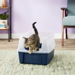 Frisco Plastic Litter Scooper With Caddy & IRIS USA Open Top Litter Box With Scatter Shield 15 Frisco Plastic Litter Scooper With Caddy & IRIS USA Open Top Litter Box With Scatter Shield -Frisco Sales Store 298166 PT6. AC SS1800 V1623202669
