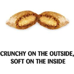 Temptations MixUps Surfers' Delight Flavor Soft & Crunchy Cat Treats & Frisco Colorful Springs Cat Toy -Frisco Sales Store 298532 PT3. AC SS1800 V1623348146