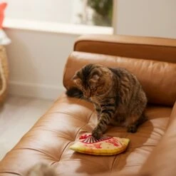 Frisco Lunar New Year Fan Plush Cat Toy With Catnip -Frisco Sales Store 298911 PT3. AC SS1800 V1640269039